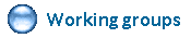 Working groups